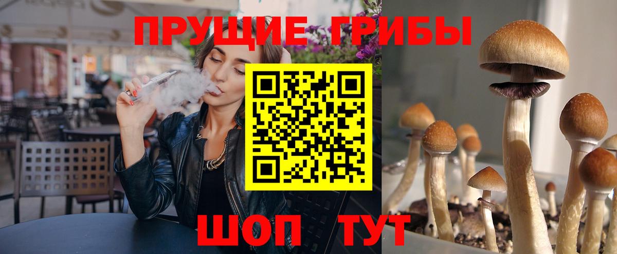 Псилоцибиновые грибы Cubensis  Вход с VPN  что такое наркотик  Большой Камень  Псилоцибиновые грибы Cubensis 